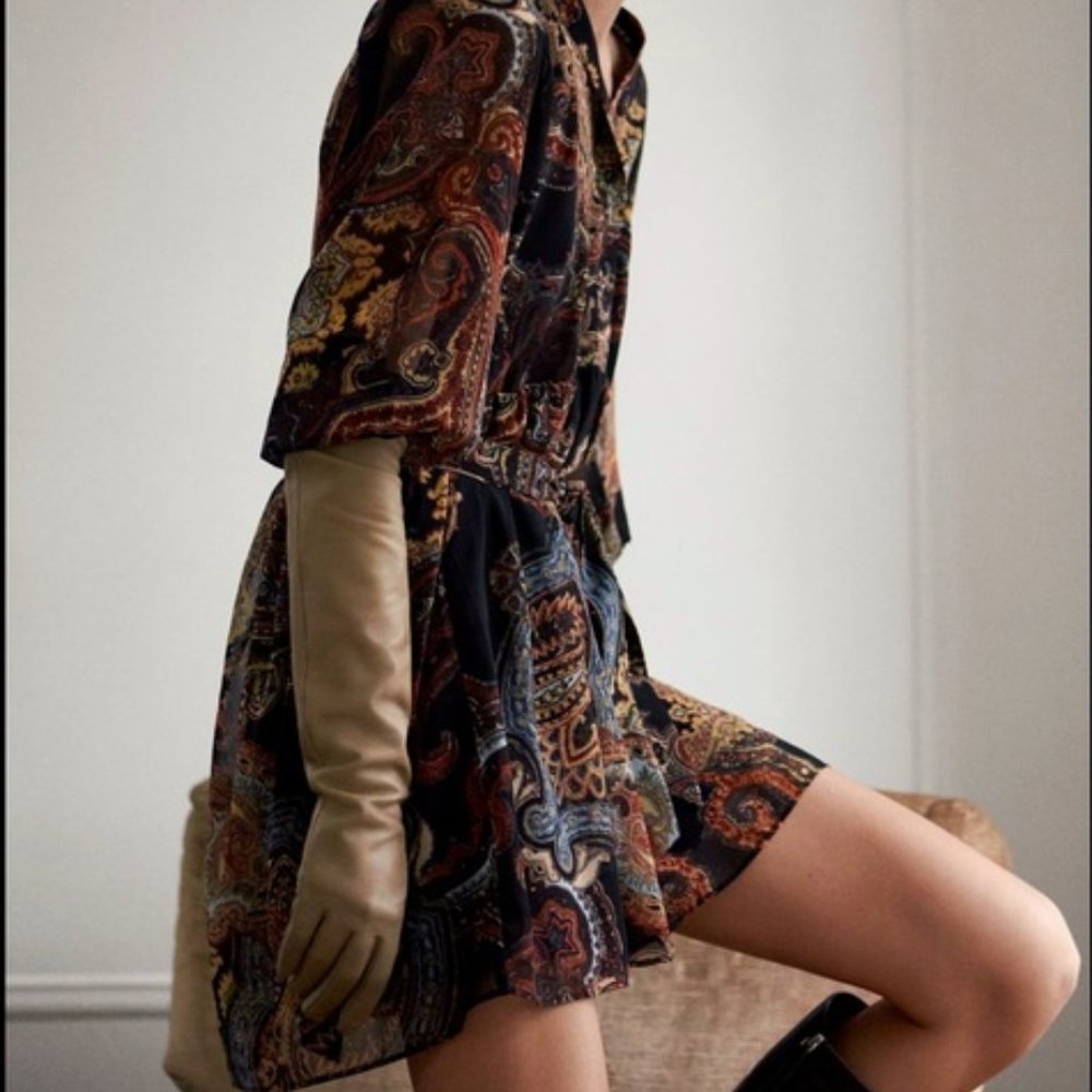 BNWOT - Zara Paisley Print Willow Mini Dress - Size Small